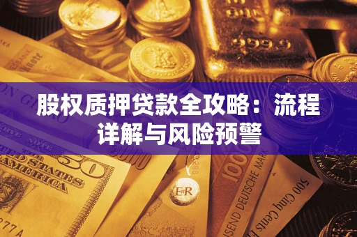 武汉股权质押贷款全攻略：流程详解与风险预警