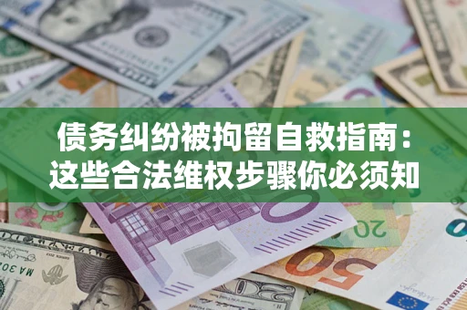 武汉债务纠纷被拘留自救指南：这些合法维权步骤你必须知道！