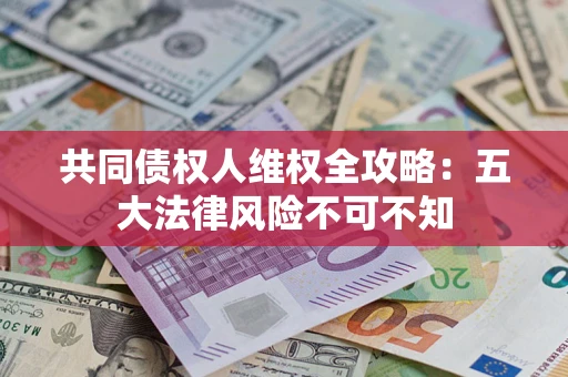 武汉共同债权人维权全攻略：五大法律风险不可不知
