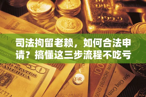 武汉司法拘留老赖，如何合法申请？搞懂这三步流程不吃亏！