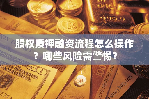 武汉股权质押融资流程怎么操作？哪些风险需警惕？