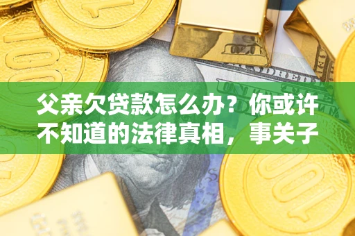 武汉父亲欠贷款怎么办？你或许不知道的法律真相，事关子女未来