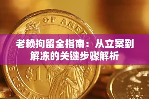武汉老赖拘留全指南：从立案到解冻的关键步骤解析