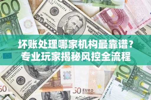 武汉坏账处理哪家机构最靠谱？专业玩家揭秘风控全流程
