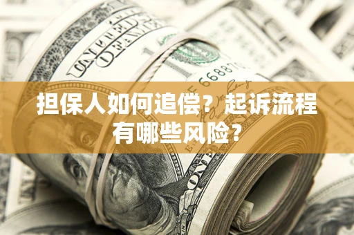 武汉担保人如何追偿？起诉流程有哪些风险？