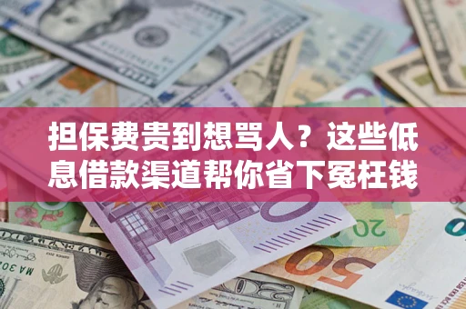 武汉担保费贵到想骂人？这些低息借款渠道帮你省下冤枉钱