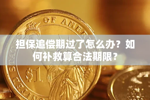 武汉担保追偿期过了怎么办？如何补救算合法期限？