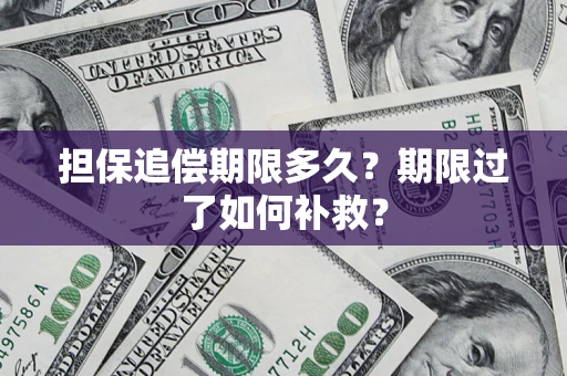 武汉担保追偿期限多久？期限过了如何补救？