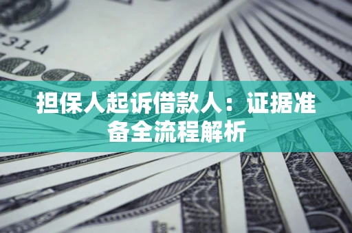 武汉担保人起诉借款人：证据准备全流程解析