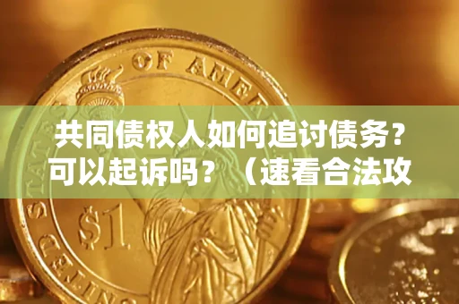 武汉共同债权人如何追讨债务？可以起诉吗？（速看合法攻略）