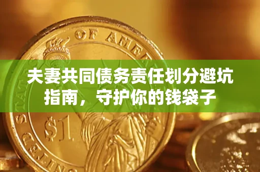 武汉夫妻共同债务责任划分避坑指南，守护你的钱袋子