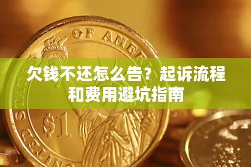 武汉欠钱不还怎么告？起诉流程和费用避坑指南