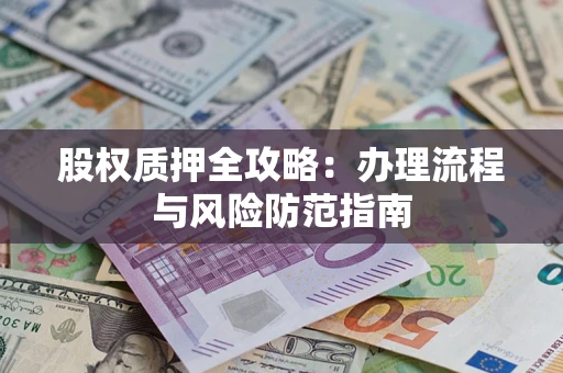 武汉股权质押全攻略：办理流程与风险防范指南
