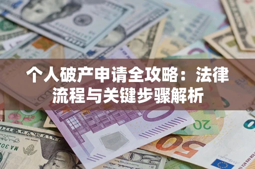 武汉个人破产申请全攻略：法律流程与关键步骤解析