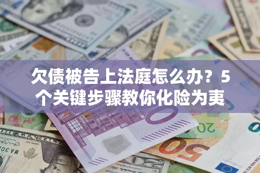 武汉欠债被告上法庭怎么办？5个关键步骤教你化险为夷