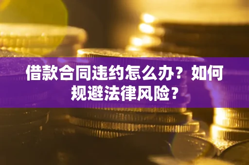 武汉借款合同违约怎么办？如何规避法律风险？